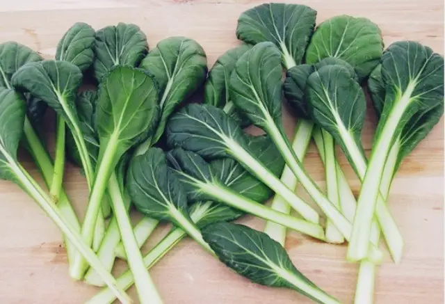 7 Vegetables You Can Harvest Within One Month Or less Fast
