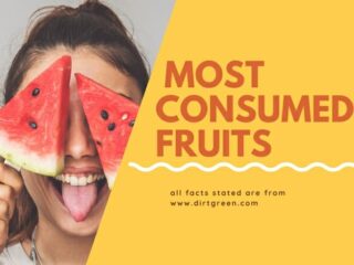 Top 15 Most Consumed Fruits