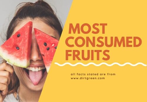 Top 15 Most Consumed Fruits