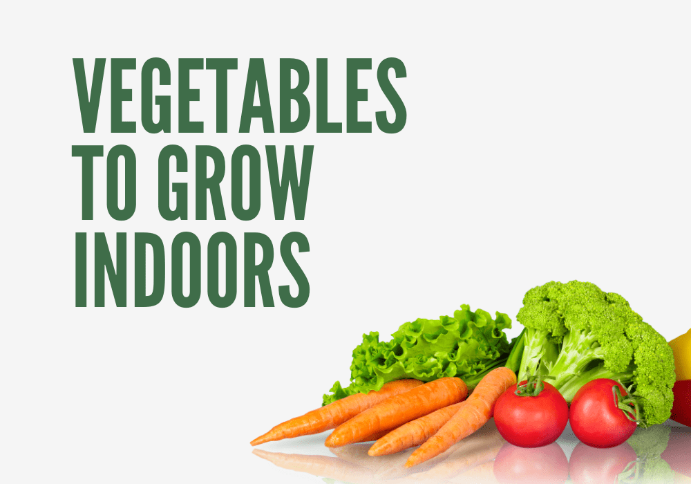 Vegetables To Grow Indoors