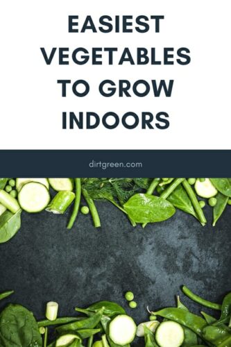 Easiest Vegetables To Grow Indoors
