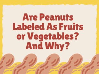 Are Peanuts Fruits or Vegetables