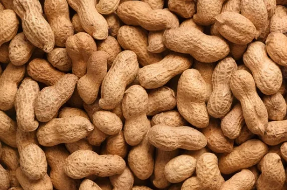 Are Peanuts Fruits or Vegetables