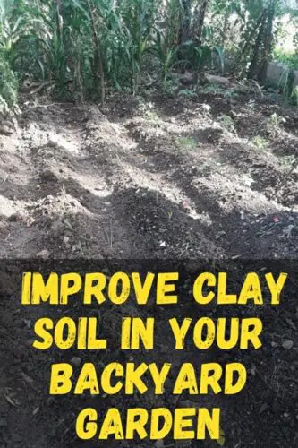 How To Improve Clay Soil In Your Backyard Garden