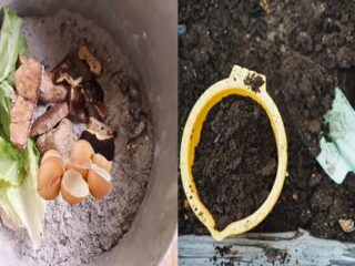 How To Make Homemade Organic Compost For Plants