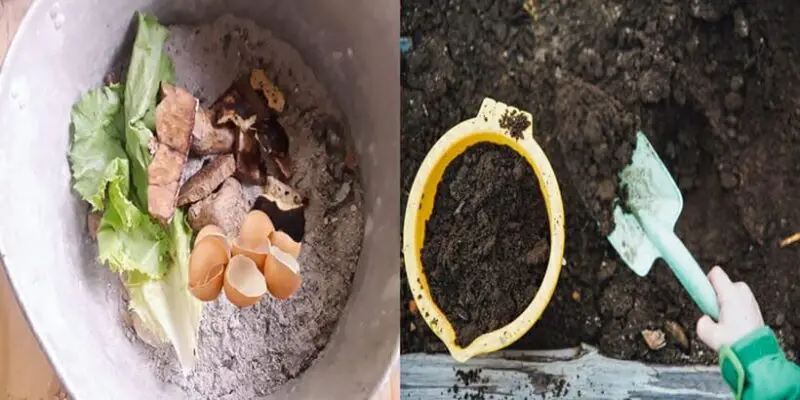 How To Make Homemade Organic Compost
