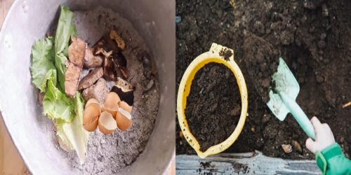 How To Make Homemade Organic Compost For Plants