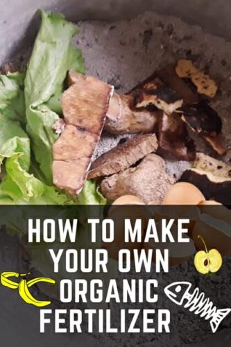 How To Make Your Own Organic Fertilizer For Plants