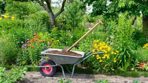Dirtgreen.com - Everything Around The YardWhat Are The Different Types Of Wheelbarrows