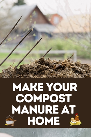  How To Make Compost Manure At Home 