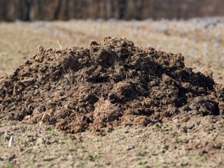 How To Make Compost Manure At Home