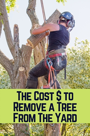 How Much Does it Cost to Remove a Tree From The Yard?