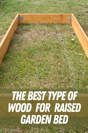 The Best Type Of Wood For Raised Garden Bed