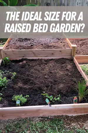 The Ideal Size For A Raised Bed Garden
