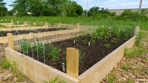 What Is The Ideal Size For A Raised Bed Garden