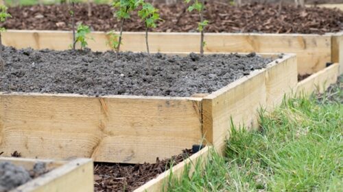 What Wood Is Best For Building A Raised Garden Bed
