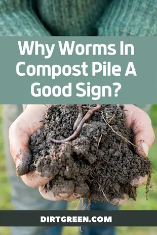 Why Earthworms In The Compost Pile A Good Sign?