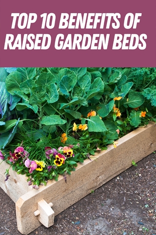 Top 10 Benefits Of Raised Garden Beds