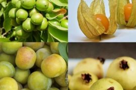 Fruits That Start With G