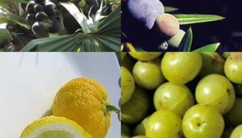 Fruits That Start With I List