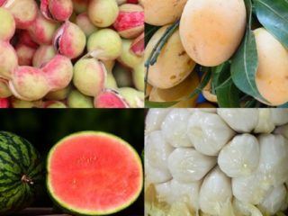 Fruits That Start with M