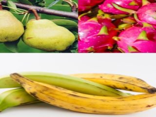 Fruits That Start With P