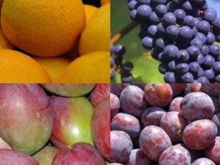 Fruits That Start With V