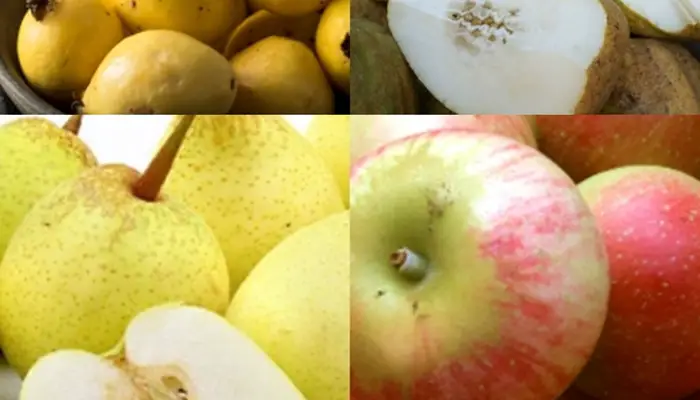Fruits That Start With Y