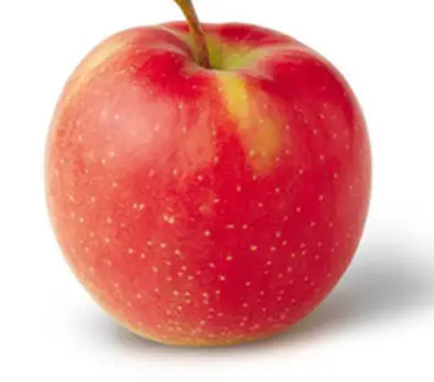 Jonagold Apple Fruit tile