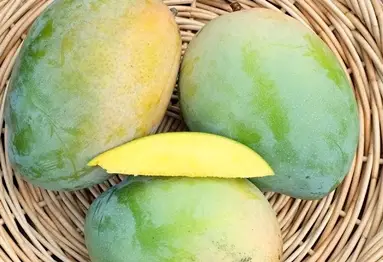 Keitt Mango Fruit