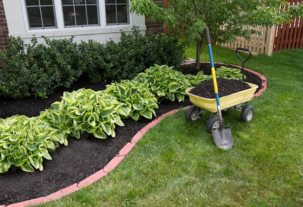 Benefits Of Mulching Soil In The Garden