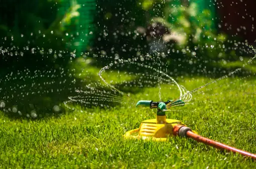 How Long You Should Keep Your Sprinkler On