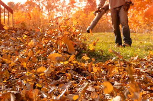 Leaf Blowers Damage Plants