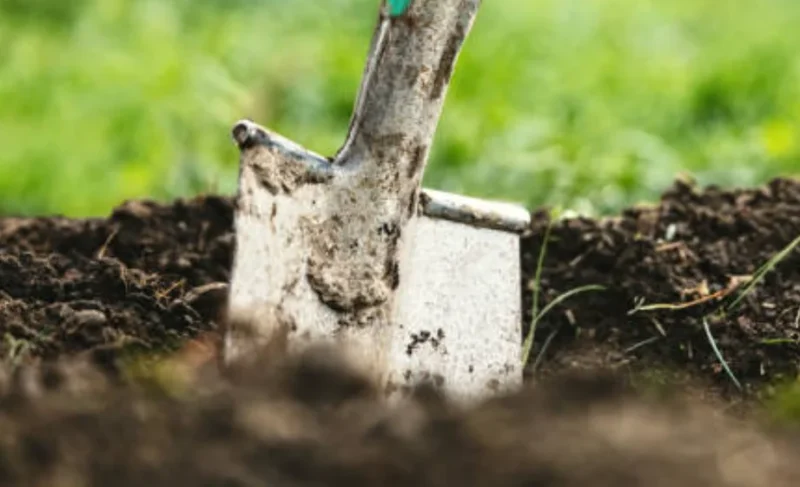 How to Aerate Your Own Garden Bed Or Farm Land