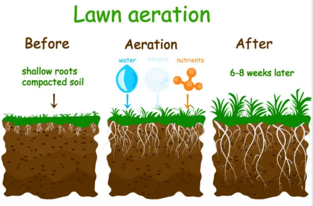 How to Aerate Your Own Garden Bed