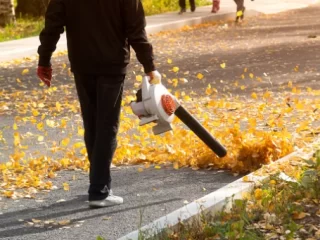 Leaf Blowers Damage Plants