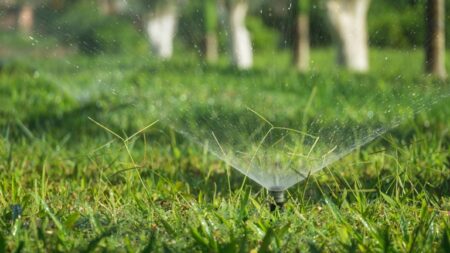 How Long You Should Keep Your Sprinkler On (Lawn Grass)