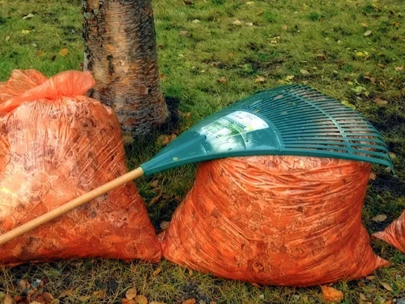 Leaf Blowers Damage Plants