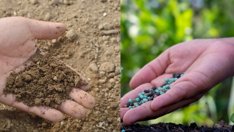 difference between manure and Fertilizer
