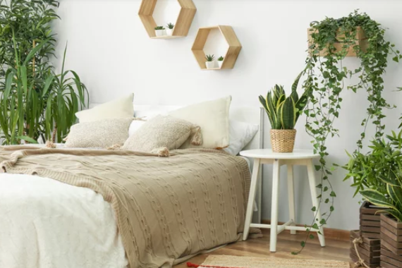 Plants In Your Bedroom