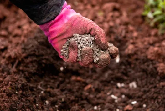 How To Store Excess Manure