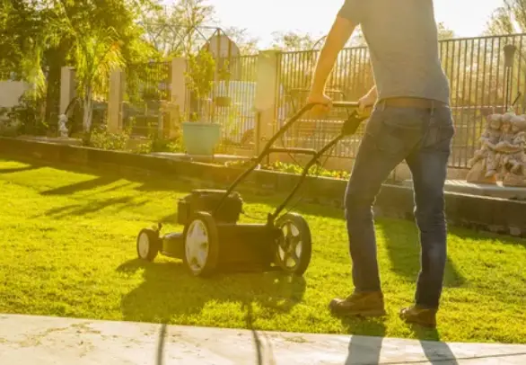What Happens If You Mow The Lawn Too Much?