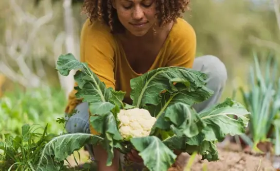 How to Save Time with Your Vegetable Gardening