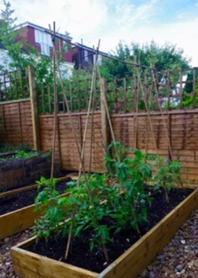 DIY Garden Trellises