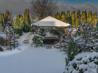Winter Garden Care