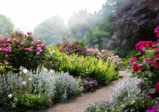 7 care tips for maintaining a vibrant and flowery garden