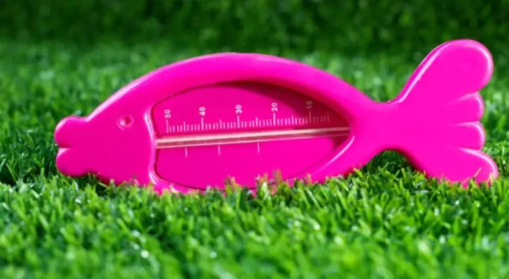 best temperature for grass seed