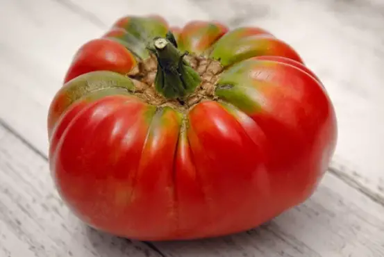German Johnson Tomato Plant