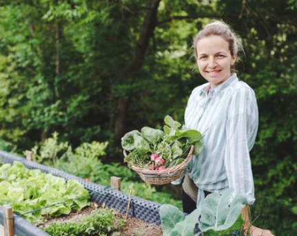 growing radishes from seed