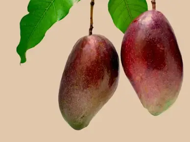 Dirtgreen.com - Everything Around The YardHow to make Hybrid Fruits: Unleashing Nature's Creativity